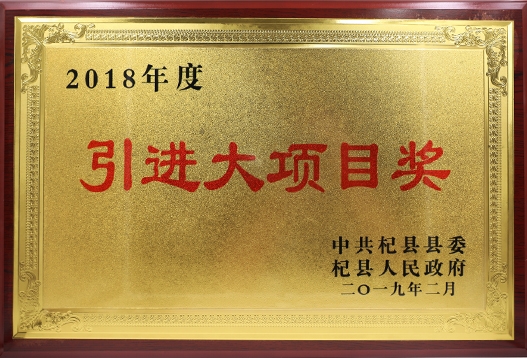 2018年度引进大项目奖